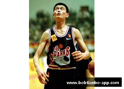 BOB天博NBA特权：探索体育界中的权力、影响与特殊待遇